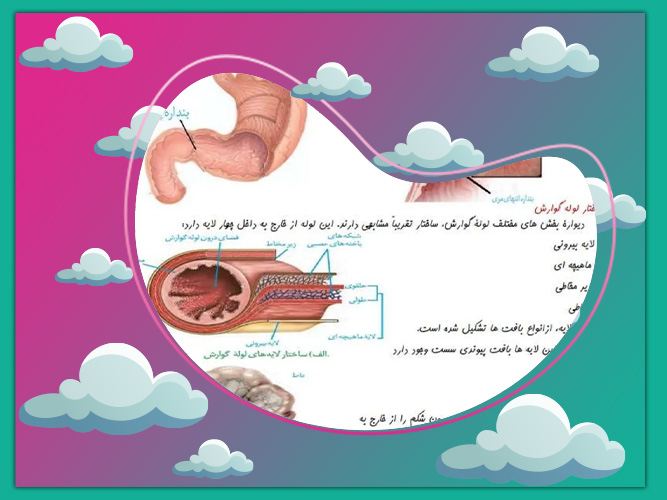 زیست دهم زیست دهم