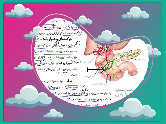 زیست دهم زیست دهم