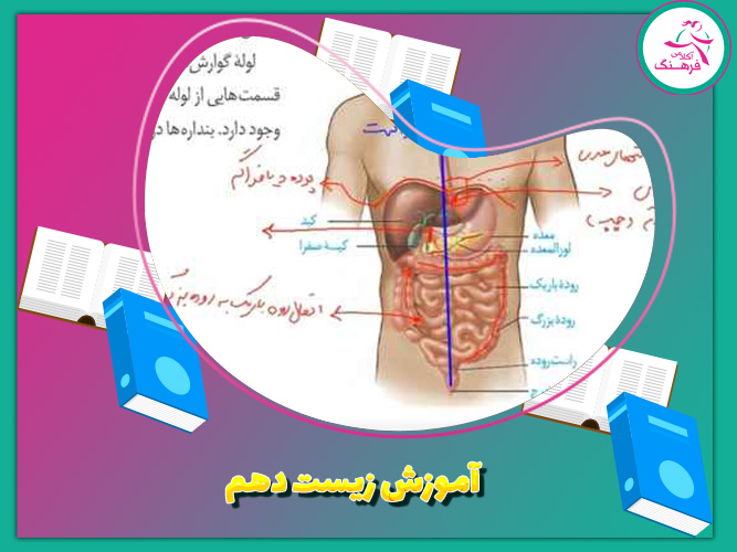 آموزش زیست دهم